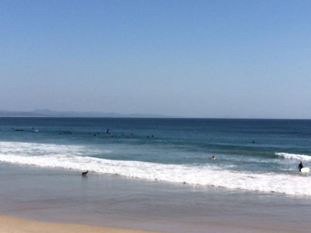 Sea Breeze On Main Beach Byron Bay Exterior photo